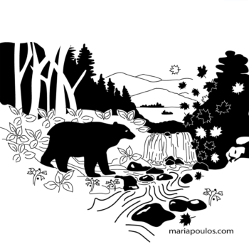 silhouette of bear at waterfalls in mountains